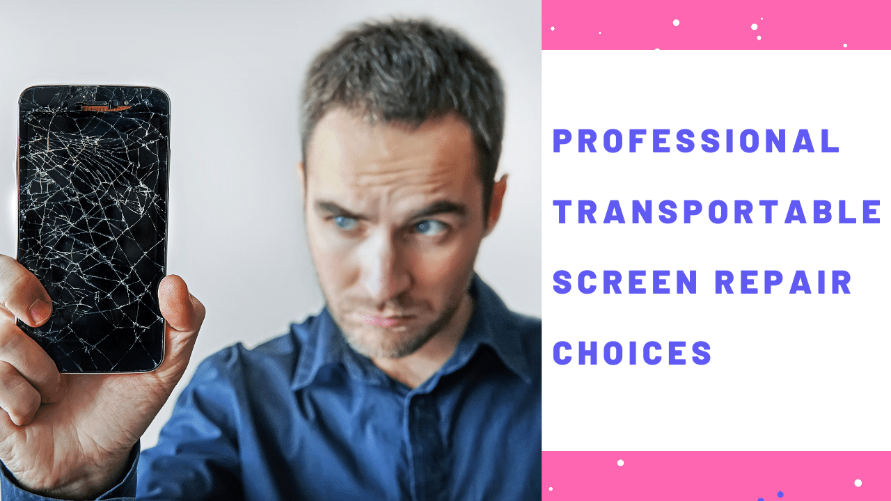 Professional transportable screen repair choices