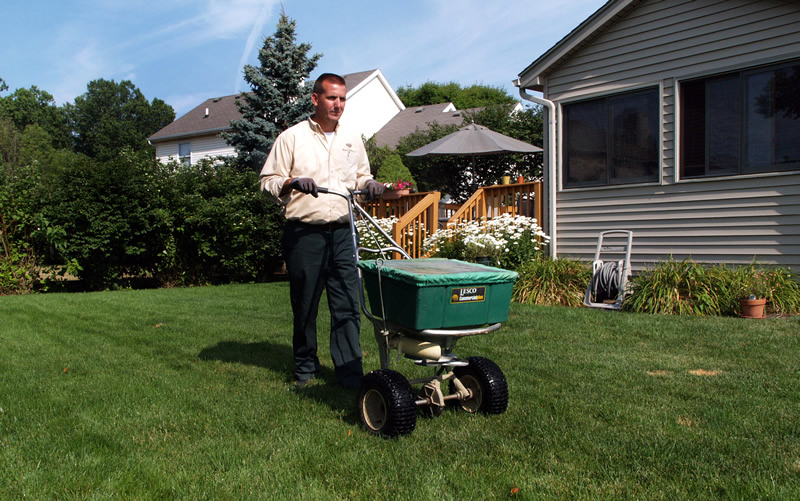 lawn fertilizer program