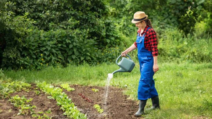 garden healthy