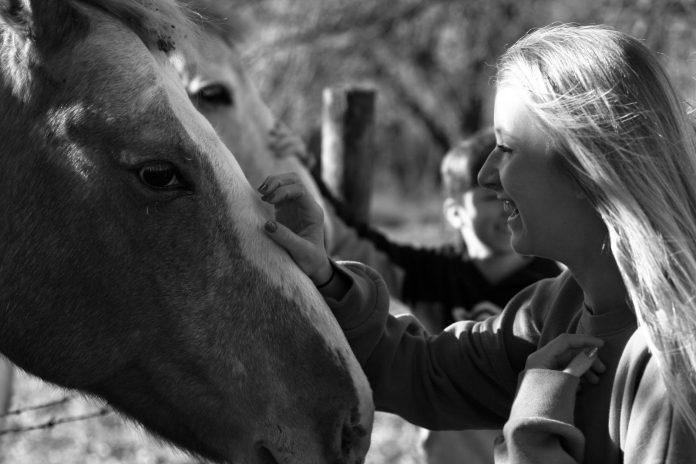 Trails Carolina utilizes Equine Programming and other activities to help its students succeed.