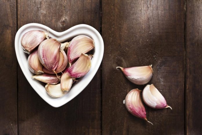 Garlic is a Good Herb for Health