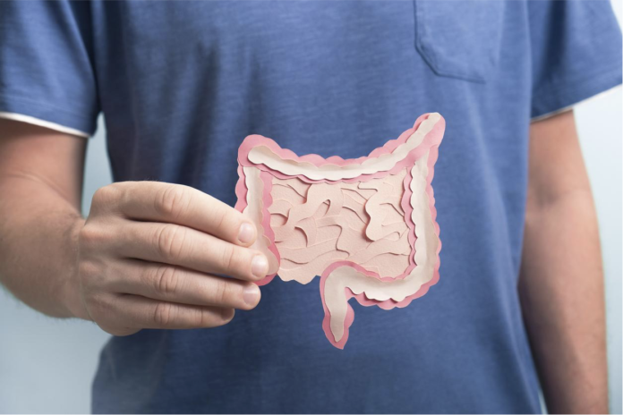 Stomach