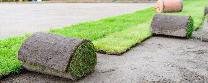 Sod Installation Services Sod Installation Services